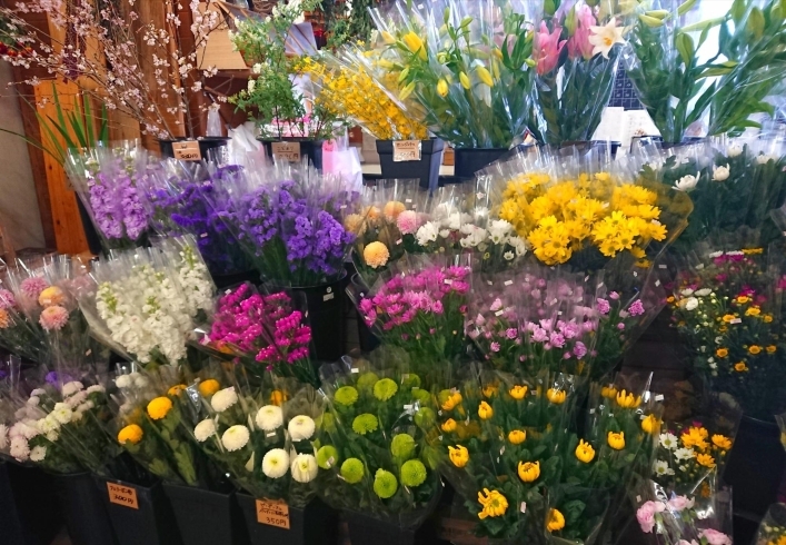 「【はなやHOK皆生店】贈り物とお彼岸の花は当店で！」