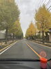 歩きたかったけど、降りれず通過。悔やまれる。「ラクセコイア【まいぷれ・西京区・南区・編集部】」