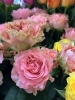 「バラの日🌹」
