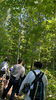 森林の中のに入ると大きな樹の下で少し薄暗い！「6/1(土) 植物観察🌱【札幌市北区児童デイサービス】」