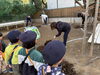 先生たち何してるんだろう❓「🌳幼稚園の木に栄養を🌳」