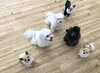 おやつくださ〜いっ♡「ましゅまろ幼稚園」
