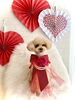 茶豆ちゃん／テディベア　ショート「Happy Valentine ♡」