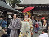 「北上市・諏訪神社で『桜絵巻おいらん道中』が開催されました」