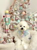 るいくん「Merry Xmas 🎄」