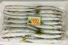 「魚魚市場鮮魚コーナーおすすめは「ヒラメ・ヒオウギ貝」です♪」