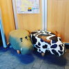 「ためしてや　帷子ノ辻グルメ　　【右京区の情報ならまいぷれ右京区】」