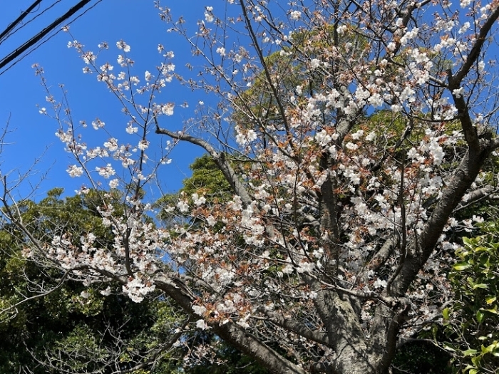 菅原天満宮  松江市宍道