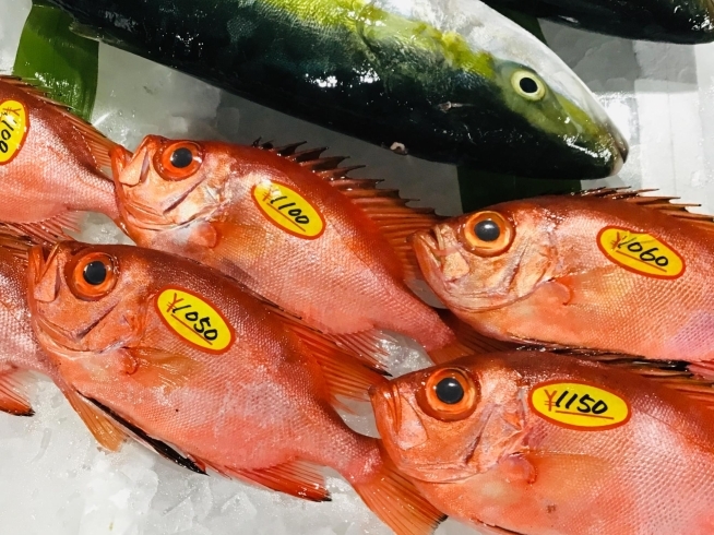 「魚魚市場鮮魚コーナーおすすめは「愛知県産あゆ」「お買い得‼︎カマス」です♪( ´θ｀)」