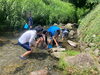魚を見つけたり、みなさん楽しく遊んでいました「7月余暇活動の様子【グリーンパル日向神峡】」