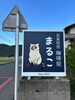ちゃんとした看板がつきました♪「✨珈琲屋まるこリニューアルオープン⁉️✨看板がつきました❗️」