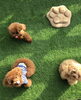 うまうま「ましゅまろ幼稚園 ^ - ^」