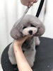 「ご家族決まりました　^ - ^」
