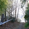 「せせらぎと緑の散歩道」