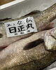 「鮮魚入荷してまーす」