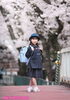 「桜ロケーション撮影は前写しがおススメです(^^♪」