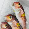 「魚魚市場鮮魚コーナーおすすめは「マングローブガニ」です♪」