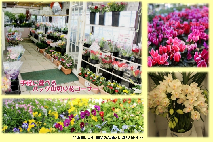 花にあふれた暮らしがしたい 私の町のお花屋さんまとめ 奈良 生駒 奈良市 生駒市 暮らしに役立つお店まとめ まいぷれ 奈良 花にあふれた暮らしがしたい 私の町のお花屋さんまとめ 奈良 生駒 奈良市 生駒市 暮らしに役立つお店まとめ まいぷれ 奈良