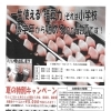 夏の特別キャンペーン