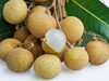 Longan, just like lychee「Teacher'sコーナー26号 It's summer and that means plenty of fruit!【蘇我駅近くの英会話教室】043-209-2310」