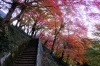 城山公園（2021年撮影）「新見市の紅葉特集2022、公開しました！」