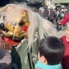 【令和8年柴又の獅子舞門付け】獅子舞に頭を噛まれて疫病退治！