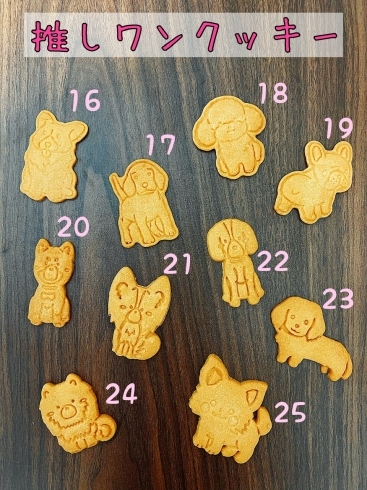 アイシングクッキーやってみたい人集まれ 白雪小町のアイシングクッキー教室 隠れ古民家カフェ 白雪小町のニュース まいぷれ 八千代市 アイシングクッキーやってみたい人集まれ 白雪小町のアイシングクッキー教室 隠れ古民家カフェ 白雪小町のニュース まいぷれ 八千代市