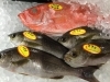 「魚魚市場鮮魚コーナーおすすめは「青アジ・イサキ」です♪」