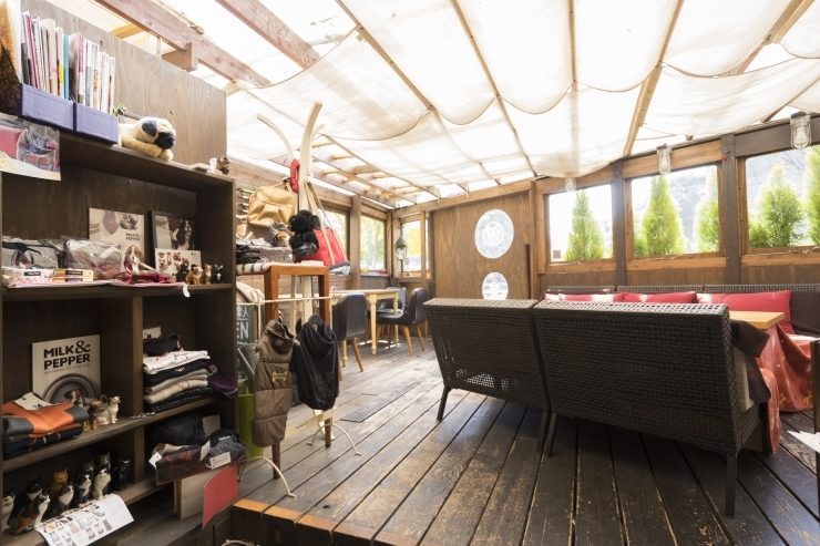 愛犬と一緒にティータイム 江戸川区内のドッグカフェ まとめ 江戸川区内の素敵 楽しい 明るい 話題 まいぷれ 江戸川区 愛犬と一緒にティータイム 江戸川区内のドッグカフェ まとめ 江戸川区内の素敵 楽しい 明るい 話題 まいぷれ 江戸川区