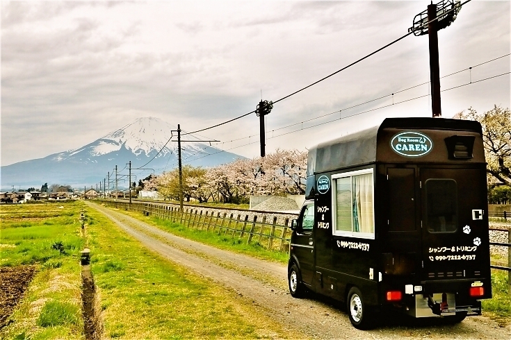 ペットサロン ドッグカフェ 犬の美容室特集 御殿場 裾野 まいぷれ御殿場編集部 おすすめ情報 まいぷれ 御殿場市 裾野市 小山町