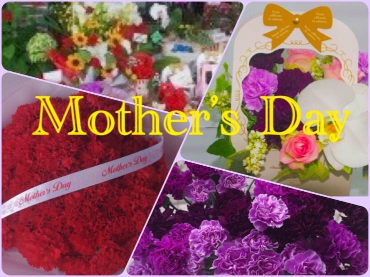 舞鶴 綾部で贈る 母の日に感謝を込めて 19 5 12 まいぷれ編集部 舞鶴 綾部 福知山 オススメのお店 まいぷれ 舞鶴 綾部 福知山 舞鶴 綾部で贈る 母の日に感謝を込めて 19 5 12 まいぷれ編集部 舞鶴 綾部 福知山 オススメのお店 まいぷれ 舞鶴 綾部 福知山