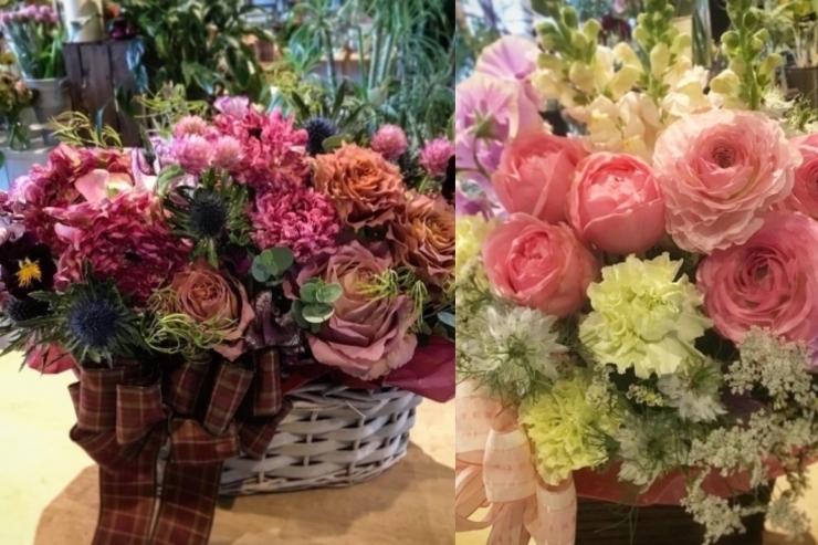 舞鶴 花屋 フラワーギフトおすすめのお店特集 まいぷれ編集部 舞鶴 綾部 福知山 オススメのお店 まいぷれ 舞鶴 綾部 福知山 舞鶴 花屋 フラワーギフトおすすめのお店特集 まいぷれ編集部 舞鶴 綾部 福知山 オススメのお店 まいぷれ 舞鶴 綾部 福知山